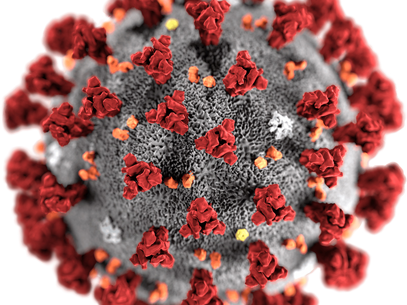 koronavirus