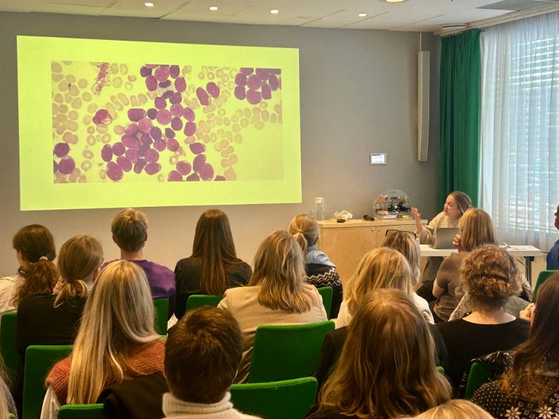 Eva-Mari Andersen på Barnekreftforeningens fagseminar.
