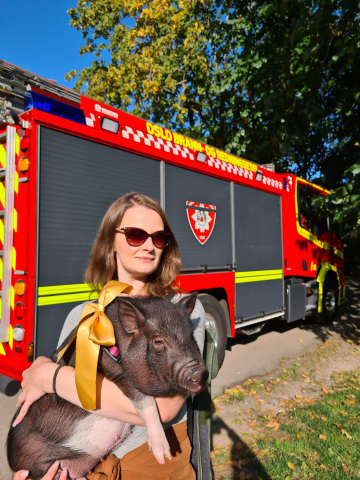 Et bilde som inneholder utendørs, gress, hund, buss
Automatisk generert beskrivelse